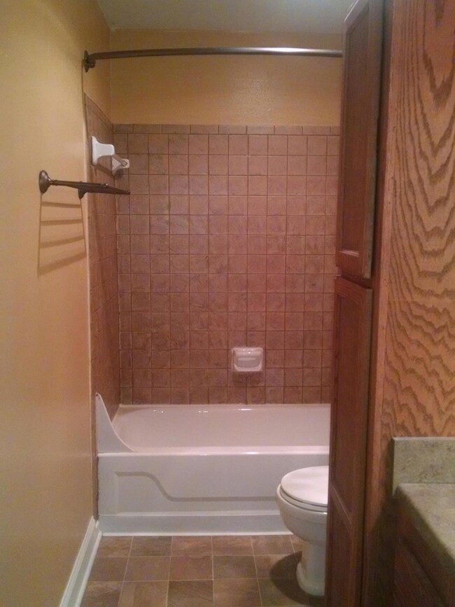 Master Bathroom Tub View