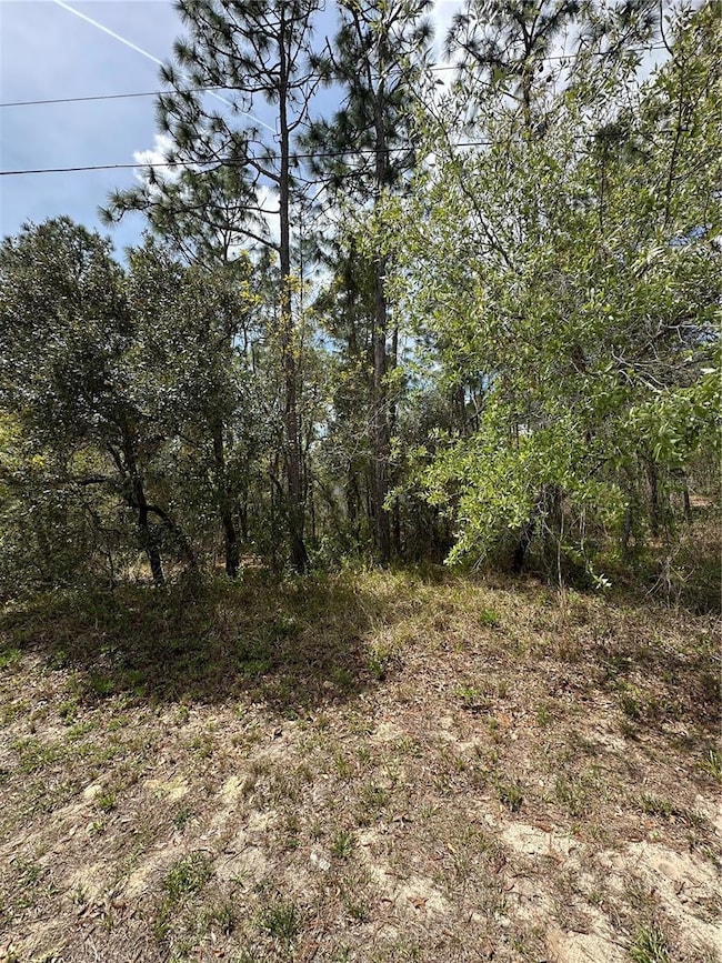 2 Fringetree Ct, Homosassa, FL 34446 - photo 6