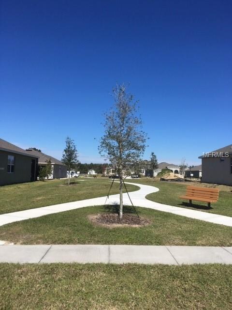 3158 Beth Page Loop, Mount Dora, FL 32757 - photo 5