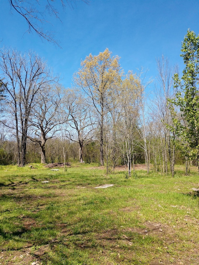 201 Mill Rd, Lebanon, TN 37090 - photo 7