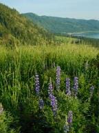 TBD Spirit Ridge Way, Rice, WA 99167 - photo 3