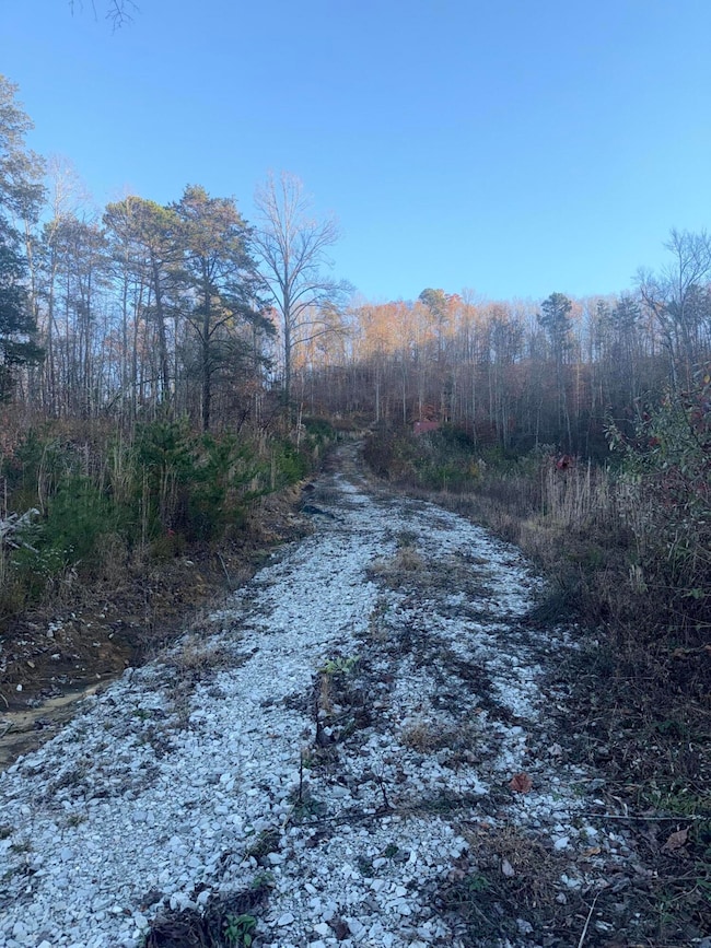 3515 Ky 1232, Gray, KY 40734 - photo 5