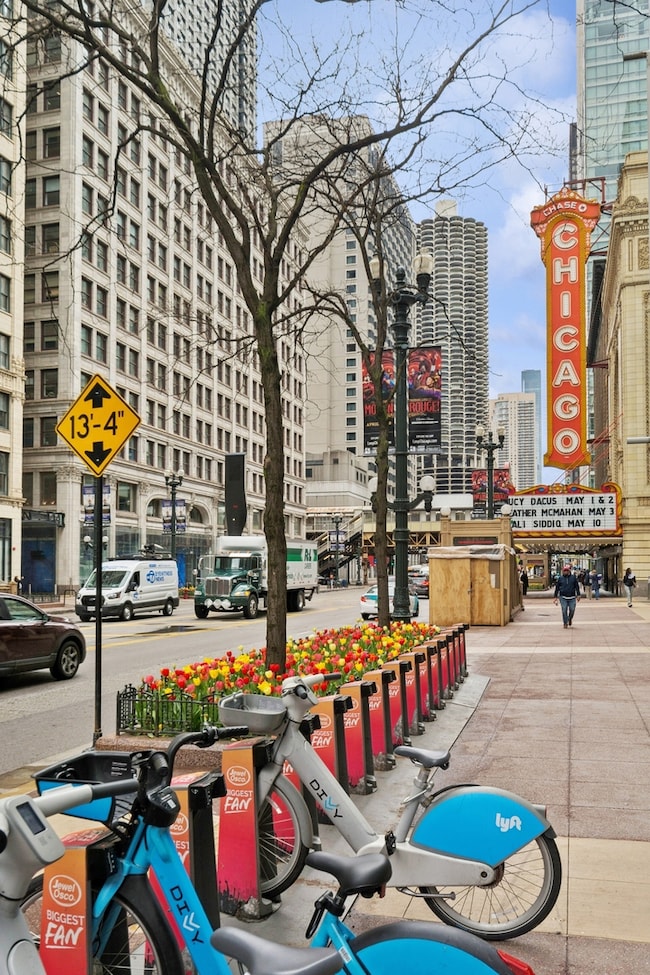 Carousel Image