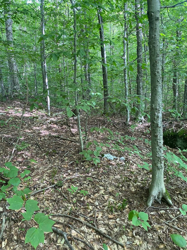 0 Maple St, Jay, VT 05859 - photo 6