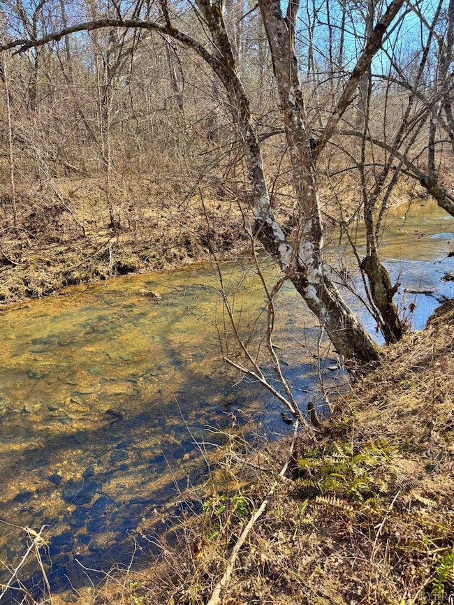 2 Watt Abbitt Rd, Appomattox, VA 24522 - photo 5