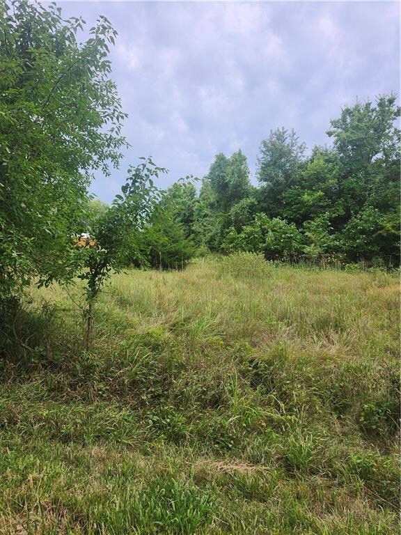 30 Oklahoma Dr, Linn Valley, KS 66040 - photo 3