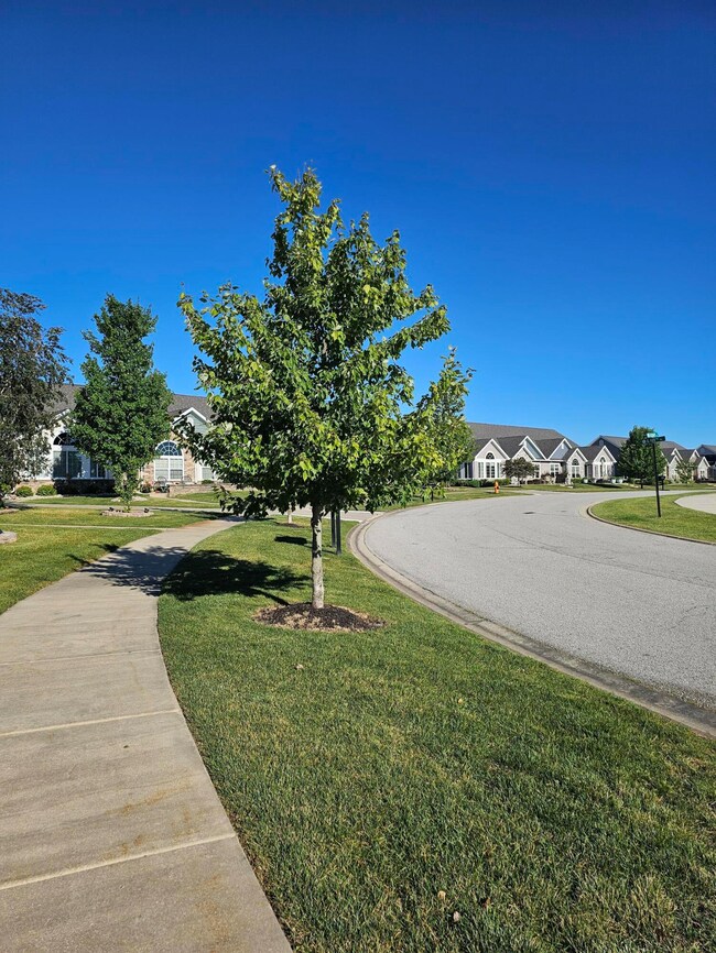 5260 E 109th Place, Crown Point, IN 46307 - photo 4