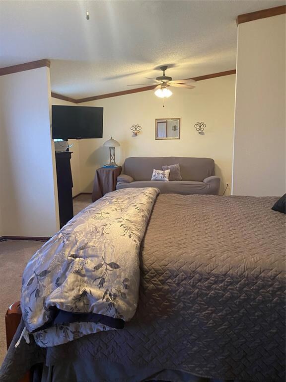 343 Lone Tree Ln, Decatur, TX 76234 - photo 3