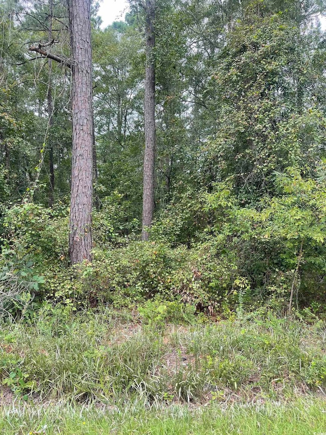 Tr 2 Hampton Rd, Conway, SC 29527 - photo 2