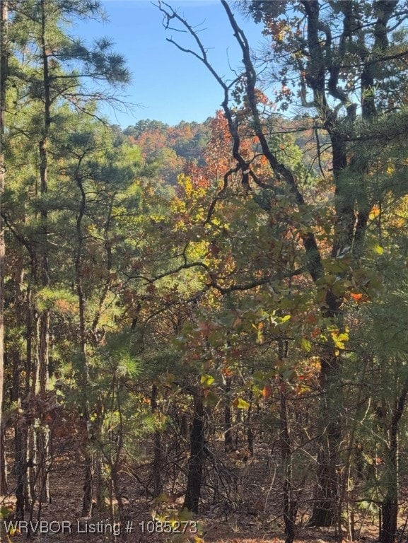 TBD Bengal Rd, Talihina, OK 74571 - photo 3