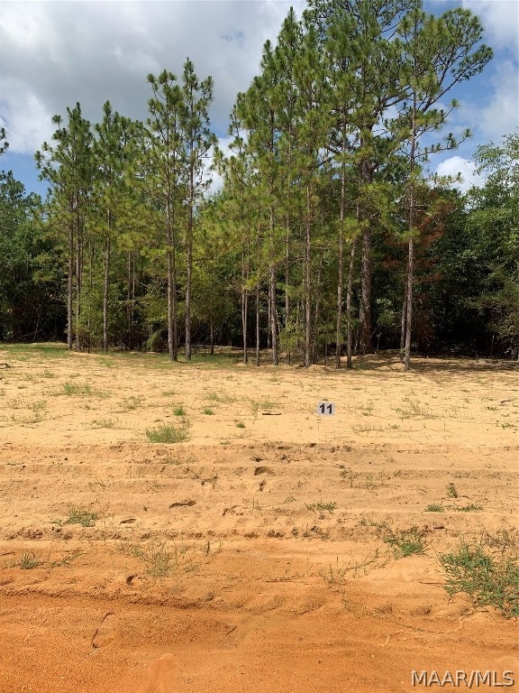 Lot 11 Deer Loop