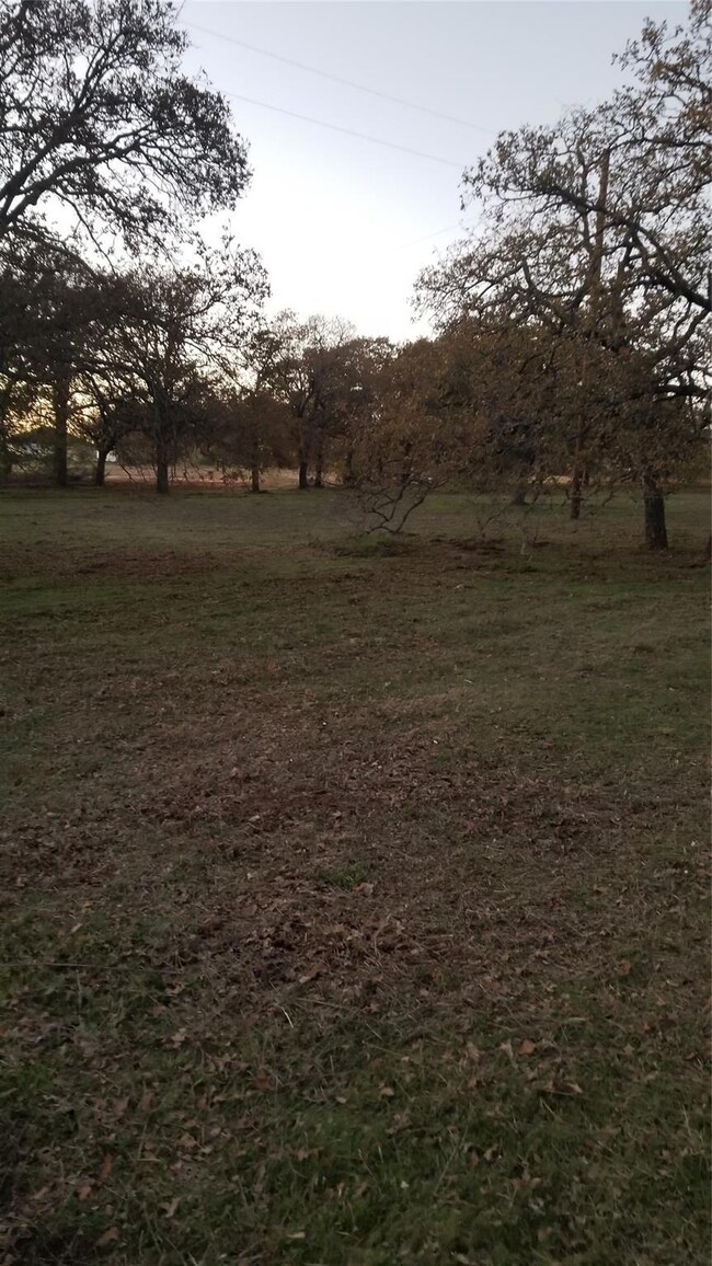 TBD Lavender Rd, Springtown, TX 76082 - photo 2