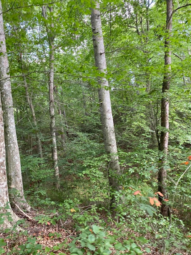 2745 Hopper Creek Rd, London, KY 40744 - photo 2