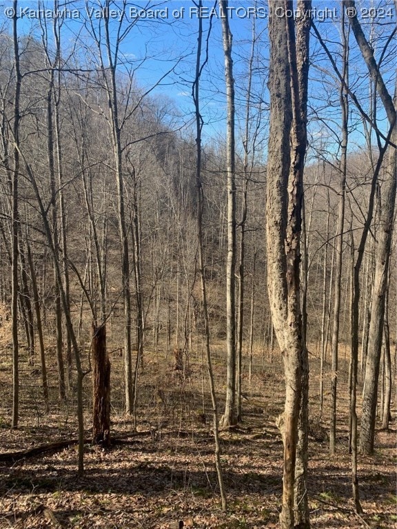 TBD Buckeye Creek Rd, Sutton, WV 26601 - photo 3