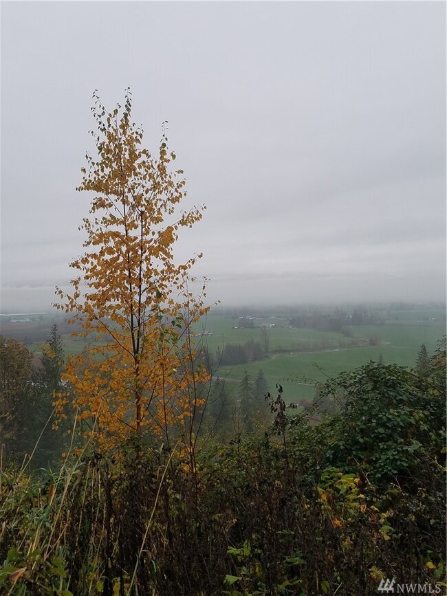 4111 Kamphouse Rd, Sumas, WA 98295 - photo 4