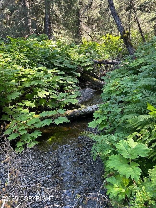 L2 & 2A Rocky St, Seldovia, AK 99663 - photo 5