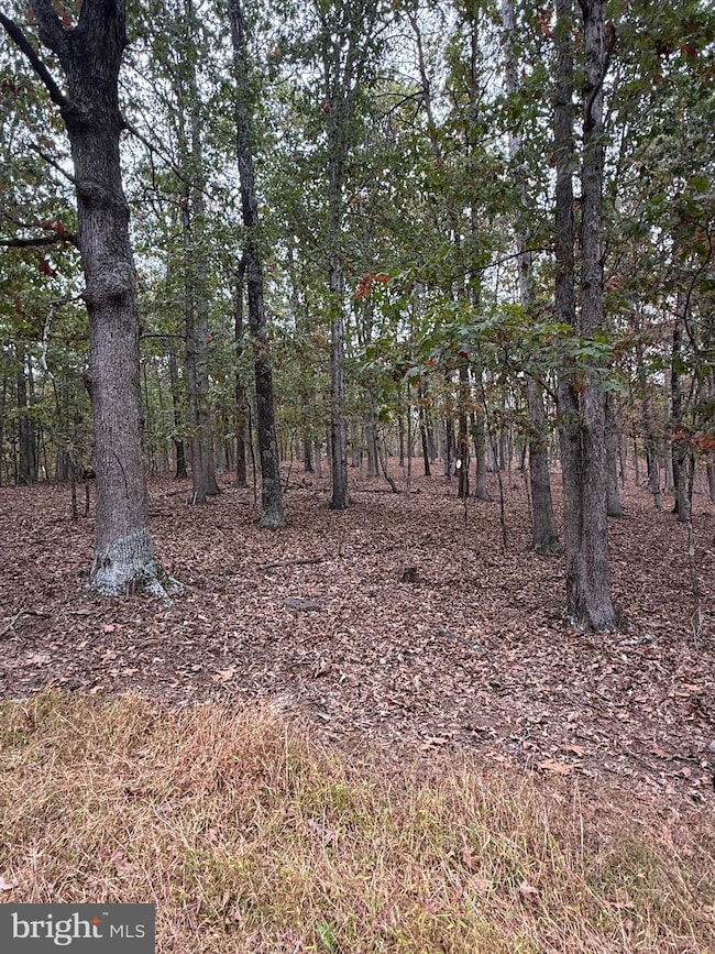 1684 Posey Hollow Rd, Berkeley Springs, WV 25411 - photo 6