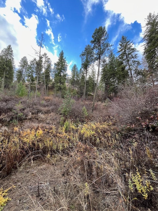 Lot 15&16 N Chuckar Ln, Davenport, WA 99122 - photo 6