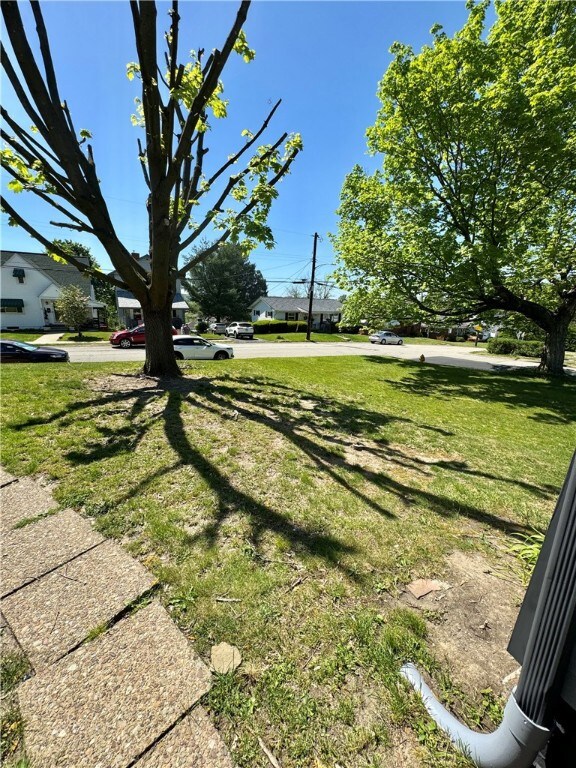 front yard