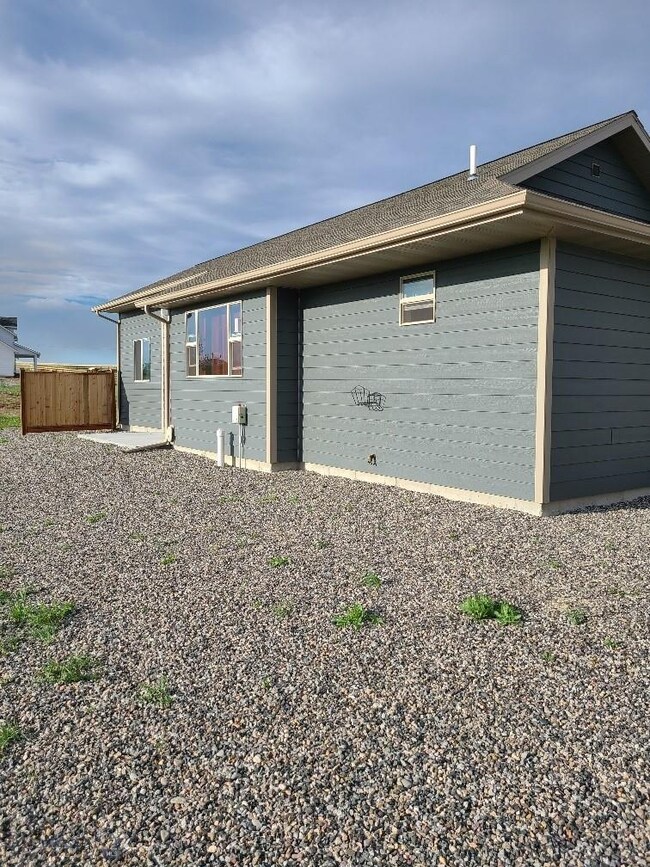 Back yard with all kinds of potential!
