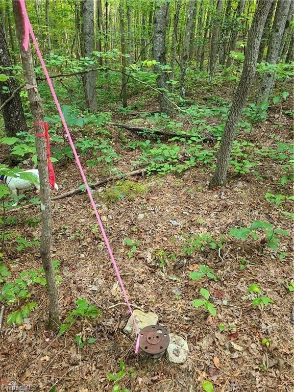 00 Grassy Knob Rd unit 10, Pilot Mountain, NC 27041 - photo 7