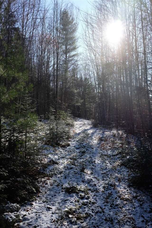 5-23 N Littleton Rd, Littleton, NH 03561 - photo 6