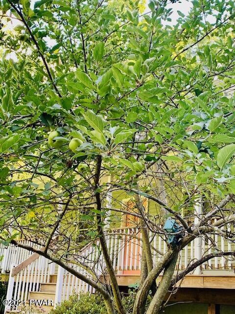 113 Bland Ln, Dingmans Ferry, PA 18328 - photo 5