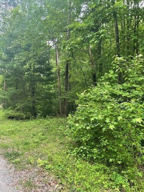 0 Mccormick Dr unit 7568882, Dawsonville, GA 30534 - photo 3