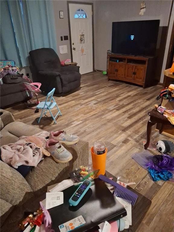 Living room featuring wood finished floors