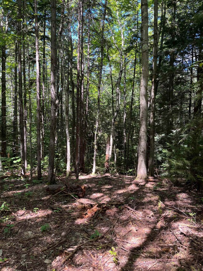 00 Berry Patch Ln, Ludlow, VT 05149 - photo 7