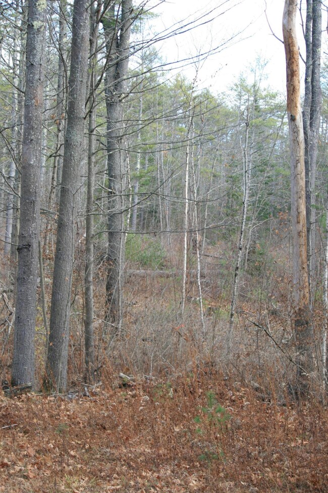 0 Webster Rd, Lisbon, ME 04250 - photo 5