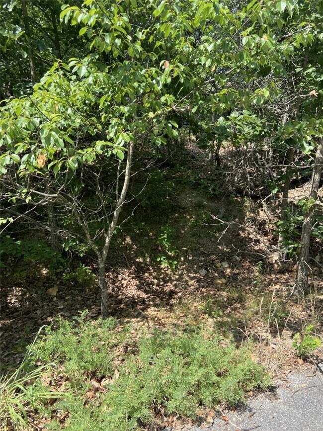 0 Carsaig Cir unit 1189228, Bella Vista, AR 72715 - photo 2