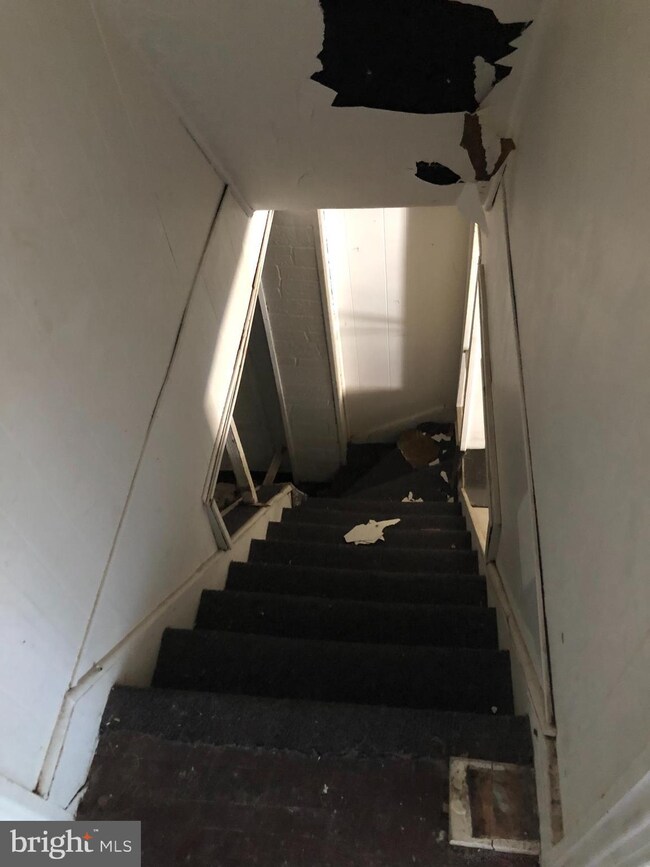 6124 Larchwood Ave, Philadelphia, PA 19143 - photo 4