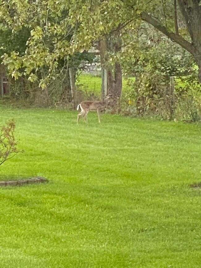 12018 S Cline Ave, Crown Point, IN 46307 - photo 4