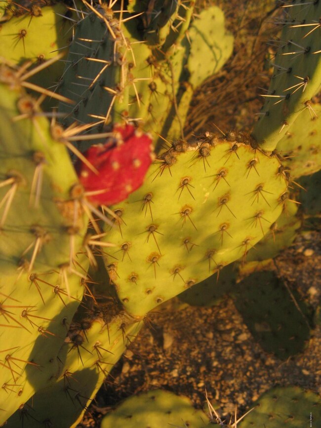 Bloom, baby, BLOOOOM!