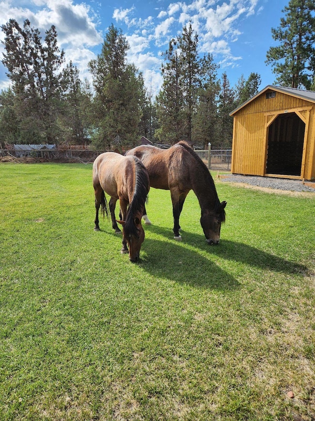 67205 Bass Ln, Bend, OR 97701 - photo 6