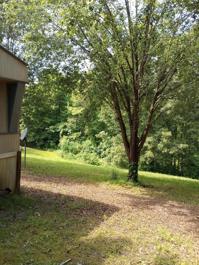 179 Zion Hill Rd, Cookeville, TN 38506 - photo 5