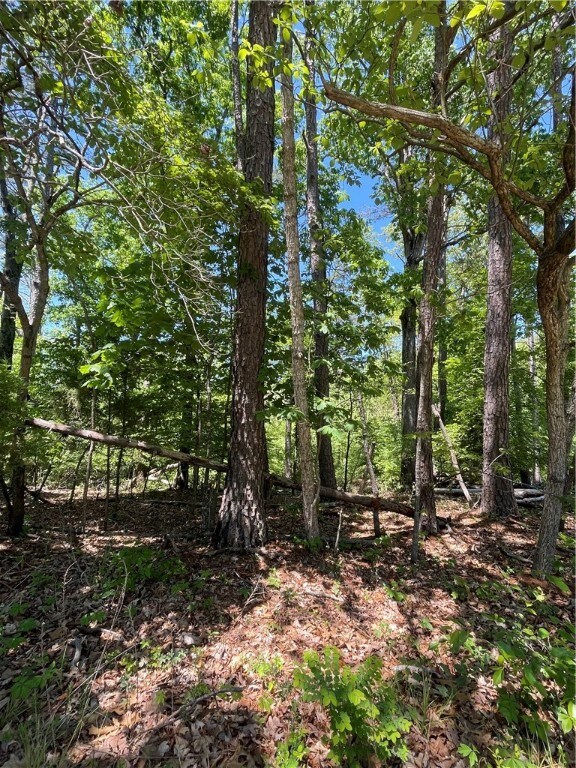 0 Filkins Ln, Bella Vista, AR 72714 - photo 3