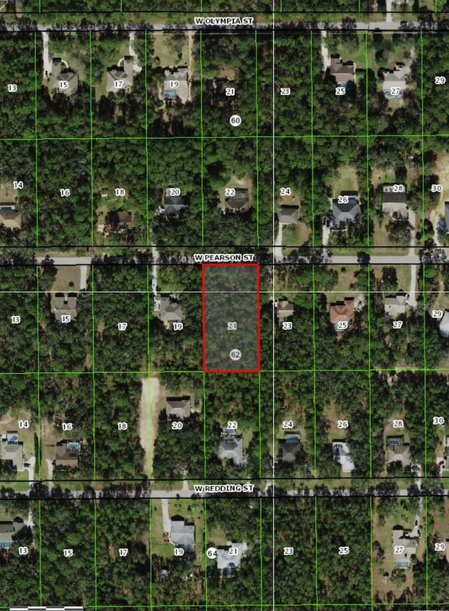 1188 W Pearson St, Hernando, FL 34442 - photo 7