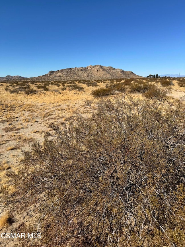 172 E Avenue l4, Lancaster, CA 93535 - photo 5