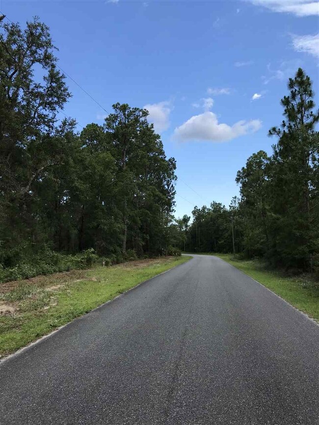 xx Frank Jones Rd unit III, Crawfordville, FL 32327 - photo 2