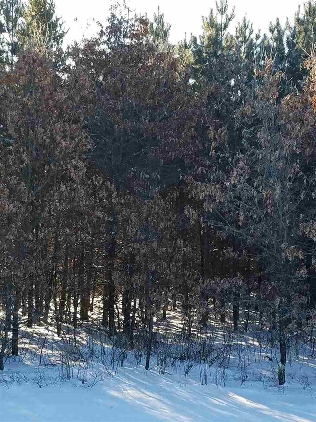 ON Cypress Ave unit Meteor 8314-5, Friendship, WI 53934 - photo 7