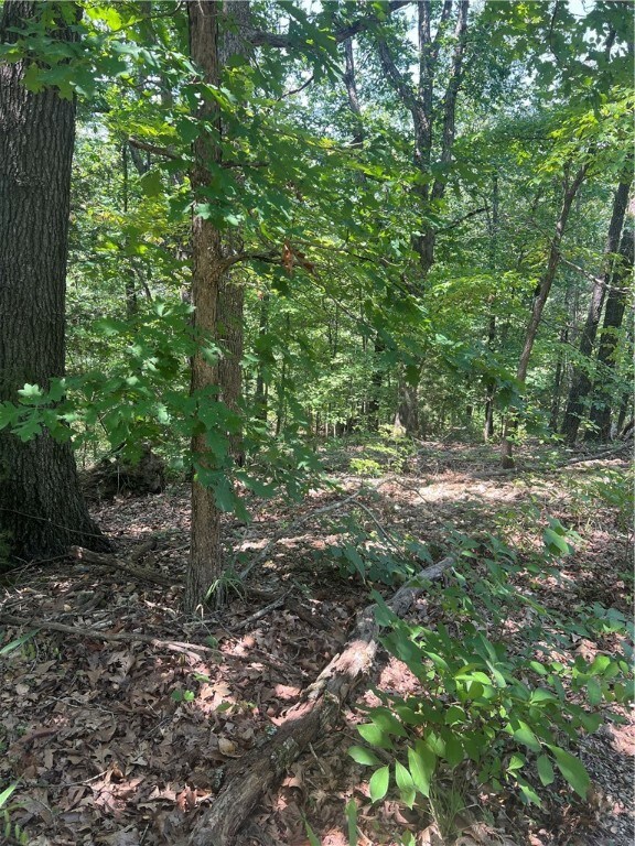 Lot 25 Queensborough Dr, Bella Vista, AR 72715 - photo 2