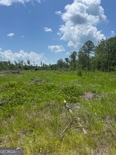 87.21 AC Bay Branch Church Rd, Claxton, GA 30417 - photo 6