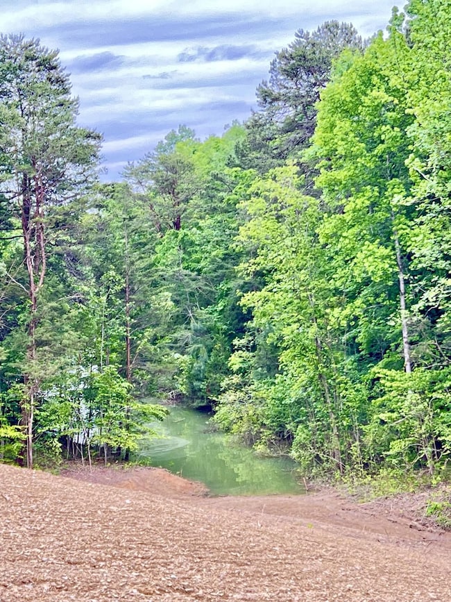 1801 Bootbluff Trail, Dandridge, TN 37725 - photo 2