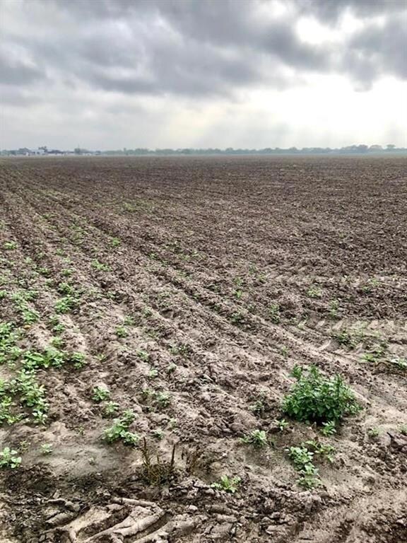 0 N Fm 493 Rd unit 215297, Donna, TX 78537 - photo 2