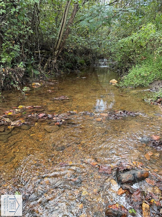 7180 Henry Rd, Henry, VA 24102 - photo 4