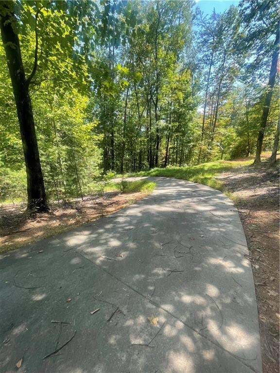 Concrete Driveway