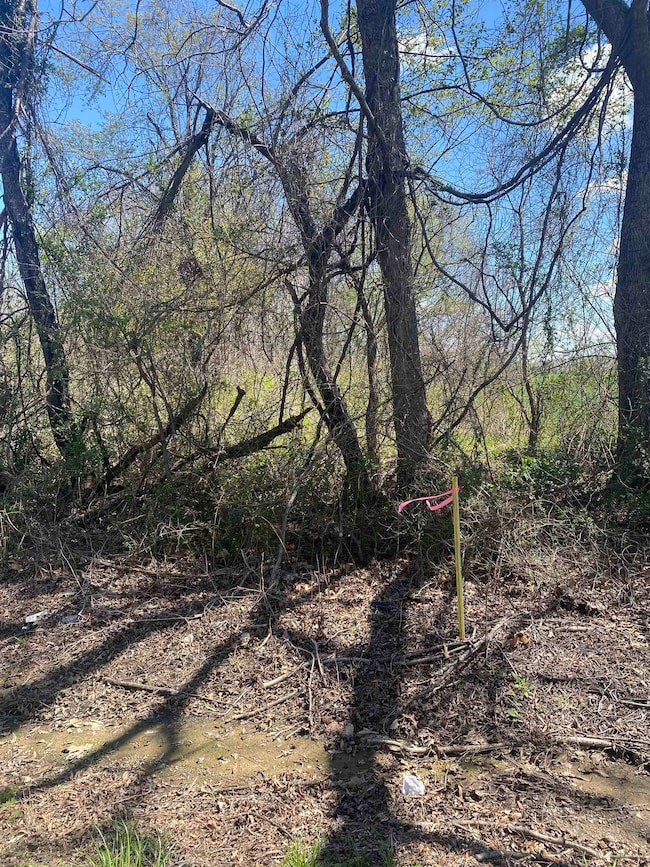 00 Fredonia Rd, Mason, TN 38049 - photo 5