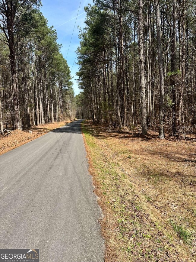 0 Autry Rd SW unit 10489984, Plainville, GA 30733 - photo 6